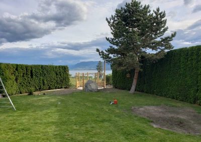 arborist tree services tree removal Kelowna BC