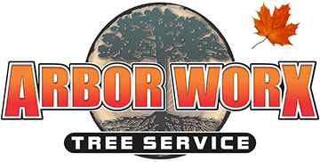 Kelowna Tree Removal & Service | Arbor Worx Tree Service