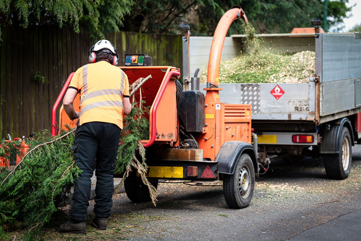 arborist using a working wood chipper machine