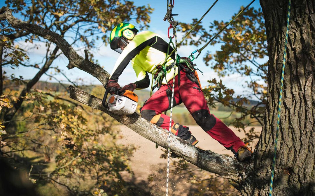 Tree Equipment Fun with Booms, Chippers, & Stump Grinders