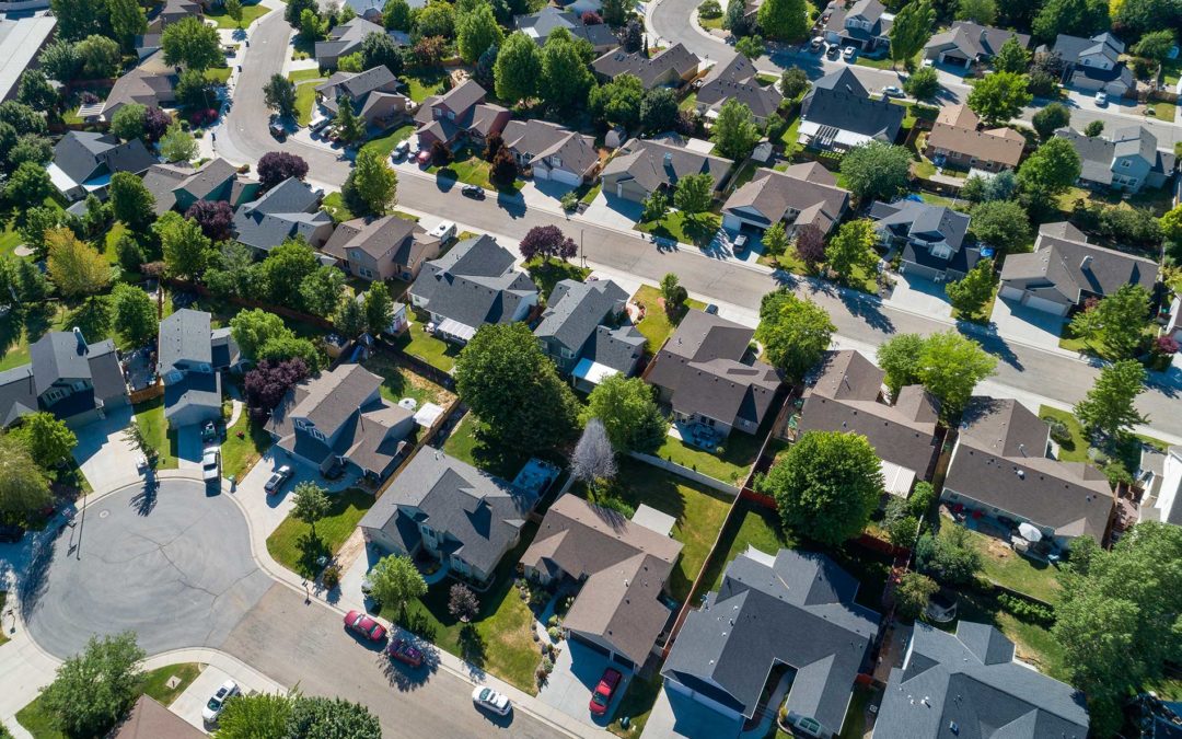 Why Trees are Essential to Urban Areas