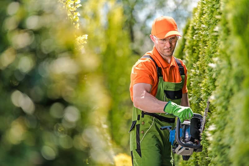 residential commercial tree care Kelowna Okanagan